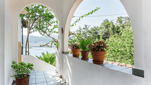 Hotel Aegeon Hotel in Skopelos