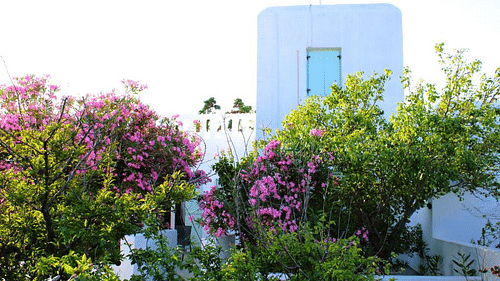 Ξενοδοχείο Astyvillas σε Αστυπάλαια