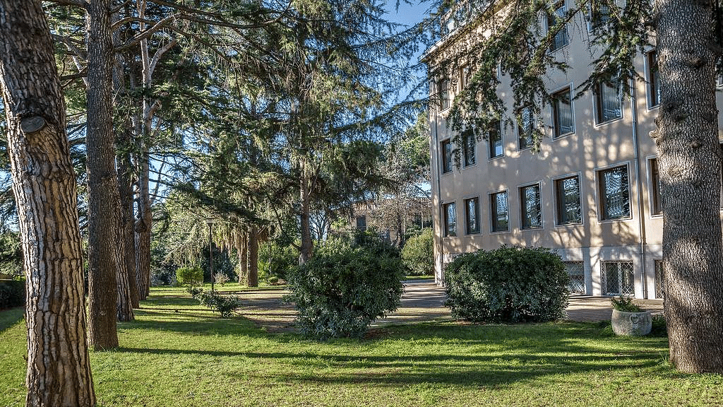 Hotel central photo Occidental Aurelia