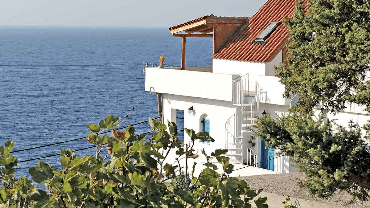 Главное фото отеля Siesta Rooms